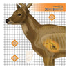Deer Target 25X25(6/Pk)
